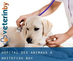 Hôpital des animaux à Whitefish Bay