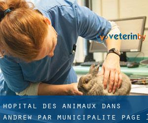 Hôpital des animaux dans Andrew par municipalité - page 1