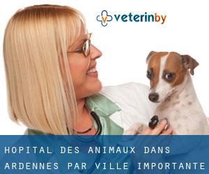 Hôpital des animaux dans Ardennes par ville importante - page 13