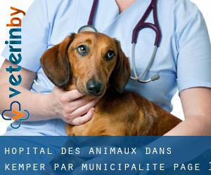 Hôpital des animaux dans Kemper par municipalité - page 1