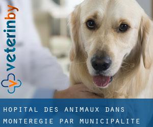 Hôpital des animaux dans Montérégie par municipalité - page 4