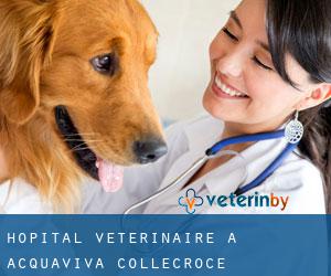 Hôpital vétérinaire à Acquaviva Collecroce