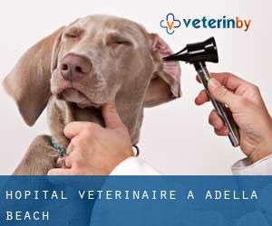 Hôpital vétérinaire à Adella Beach