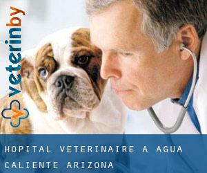 Hôpital vétérinaire à Agua Caliente (Arizona)