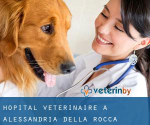 Hôpital vétérinaire à Alessandria della Rocca
