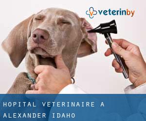 Hôpital vétérinaire à Alexander (Idaho)