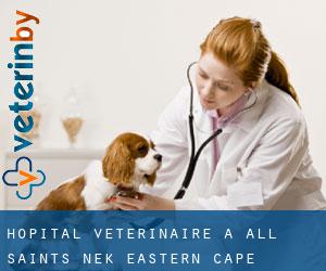 Hôpital vétérinaire à All Saints Nek (Eastern Cape)