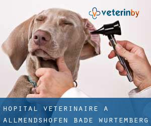 Hôpital vétérinaire à Allmendshofen (Bade-Wurtemberg)