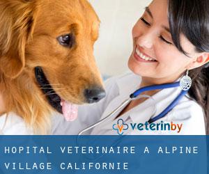 Hôpital vétérinaire à Alpine Village (Californie)