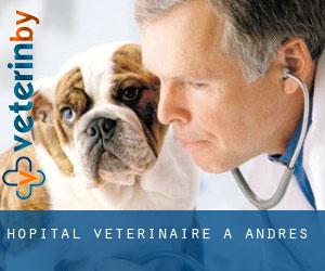 Hôpital vétérinaire à Andres