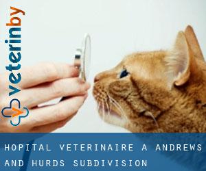 Hôpital vétérinaire à Andrews and Hurds Subdivision