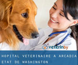 Hôpital vétérinaire à Arcadia (État de Washington)