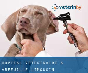Hôpital vétérinaire à Arfeuille (Limousin)