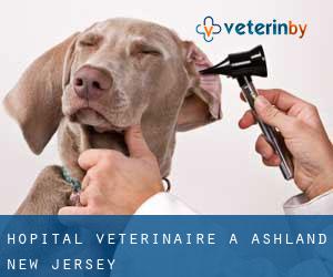 Hôpital vétérinaire à Ashland (New Jersey)