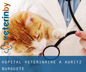 Hôpital vétérinaire à Auritz / Burguete