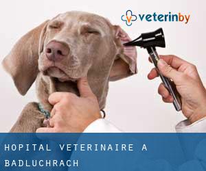Hôpital vétérinaire à Badluchrach
