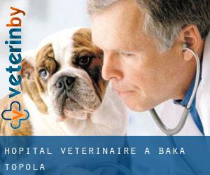 Hôpital vétérinaire à Bačka Topola