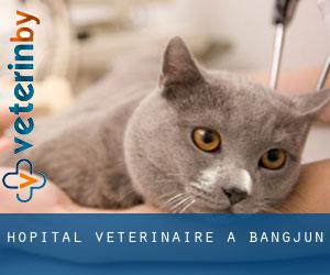 Hôpital vétérinaire à Bangjun