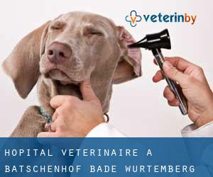 Hôpital vétérinaire à Batschenhof (Bade-Wurtemberg)