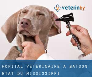 Hôpital vétérinaire à Batson (État du Mississippi)