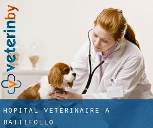 Hôpital vétérinaire à Battifollo