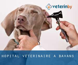 Hôpital vétérinaire à Bavans