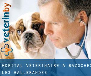 Hôpital vétérinaire à Bazoches-les-Gallerandes