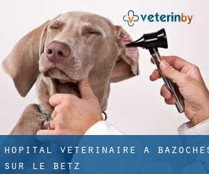 Hôpital vétérinaire à Bazoches-sur-le-Betz