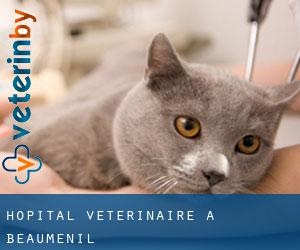 Hôpital vétérinaire à Beauménil