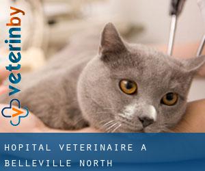 Hôpital vétérinaire à Belleville North