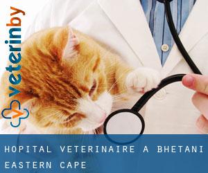Hôpital vétérinaire à Bhetani (Eastern Cape)