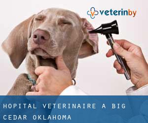 Hôpital vétérinaire à Big Cedar (Oklahoma)