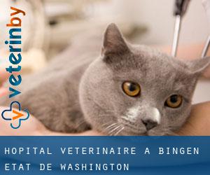 Hôpital vétérinaire à Bingen (État de Washington)