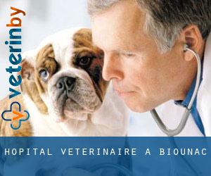 Hôpital vétérinaire à Biounac
