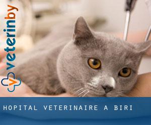 Hôpital vétérinaire à Biri