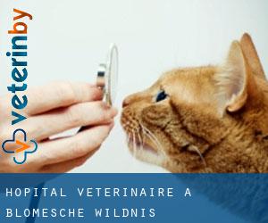 Hôpital vétérinaire à Blomesche Wildnis