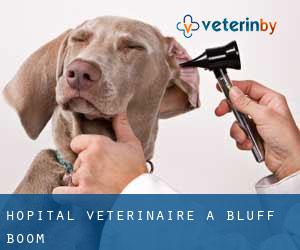 Hôpital vétérinaire à Bluff Boom
