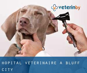 Hôpital vétérinaire à Bluff City