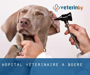 Hôpital vétérinaire à Boëre