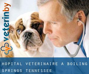Hôpital vétérinaire à Boiling Springs (Tennessee)