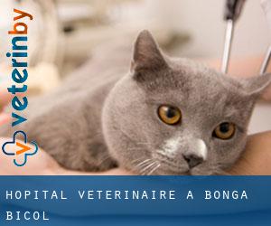 Hôpital vétérinaire à Bonga (Bicol)