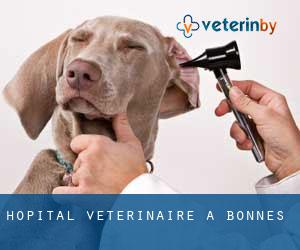 Hôpital vétérinaire à Bonnes
