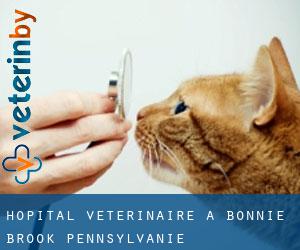Hôpital vétérinaire à Bonnie Brook (Pennsylvanie)