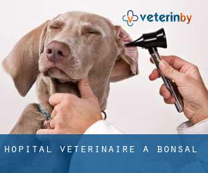 Hôpital vétérinaire à Bonsal