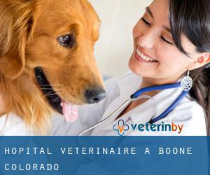Hôpital vétérinaire à Boone (Colorado)