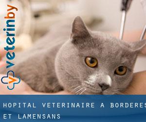 Hôpital vétérinaire à Bordères-et-Lamensans
