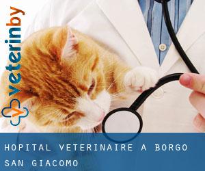 Hôpital vétérinaire à Borgo San Giacomo