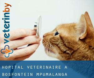 Hôpital vétérinaire à Bosfontein (Mpumalanga)