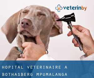 Hôpital vétérinaire à Bothasberg (Mpumalanga)
