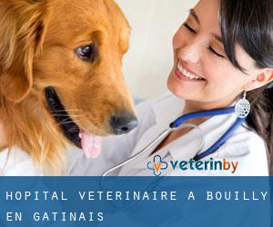Hôpital vétérinaire à Bouilly-en-Gâtinais